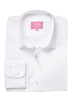 Albany Shirt - Shirt & Blouse Collection